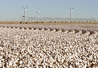 Benefits of Switching to Drip Irrigation for Cotton