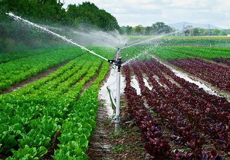 Sprinkler Attachment