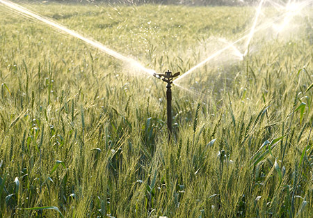 Sprinkler Irrigation Systems